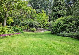 Optimiser l'expérience du jardin à Saint-Silvain-Bellegarde